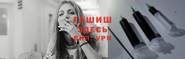 сатива Кулебаки