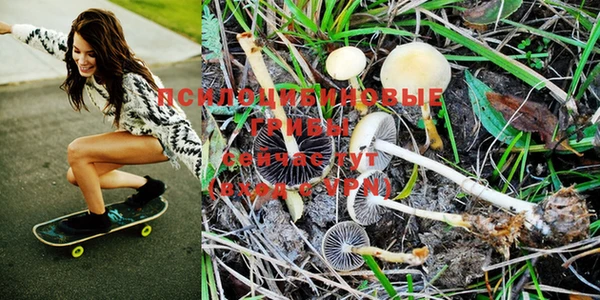 альфа пвп Кукмор