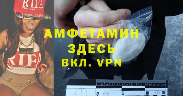 сатива Кулебаки